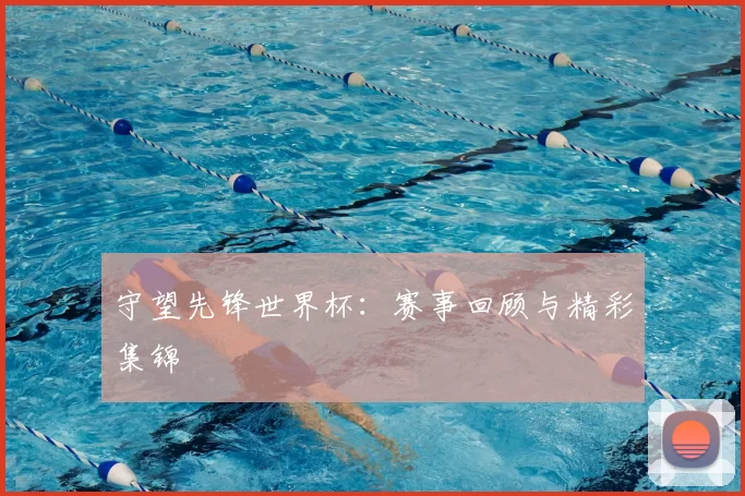 守望先锋世界杯:赛事回顾与精彩集锦