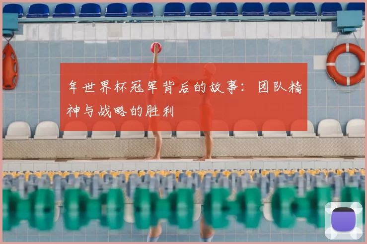 年世界杯冠军背后的故事:团队精神与战略的胜利