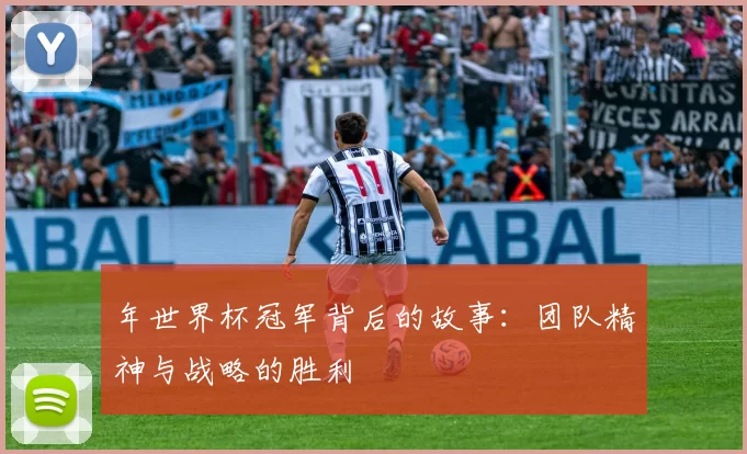 年世界杯冠军背后的故事:团队精神与战略的胜利