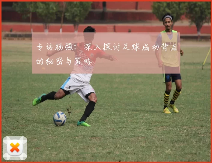 专访杨强:深入探讨足球成功背后的秘密与策略