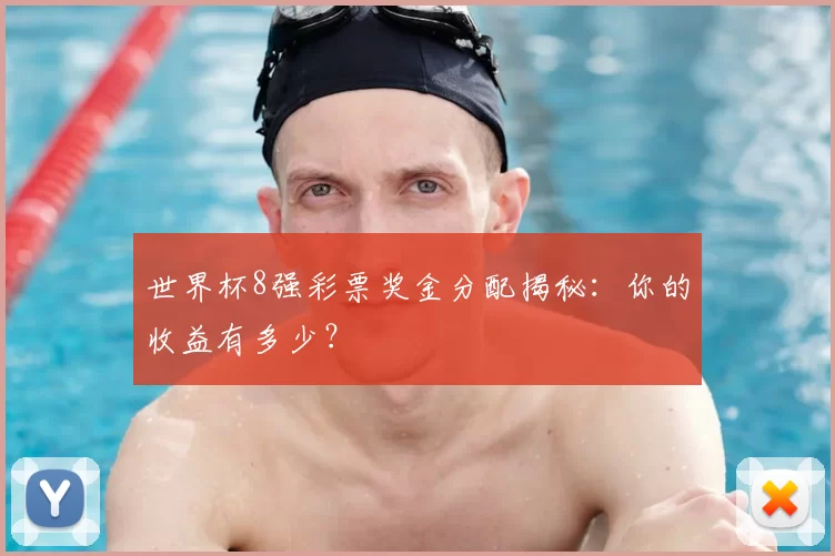 世界杯8强彩票奖金分配揭秘:你的收益有多少?
