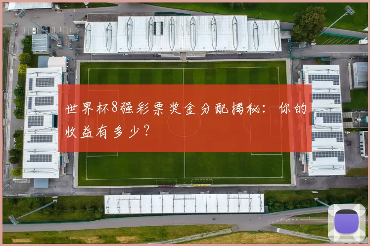 世界杯8强彩票奖金分配揭秘：你的收益有多少？